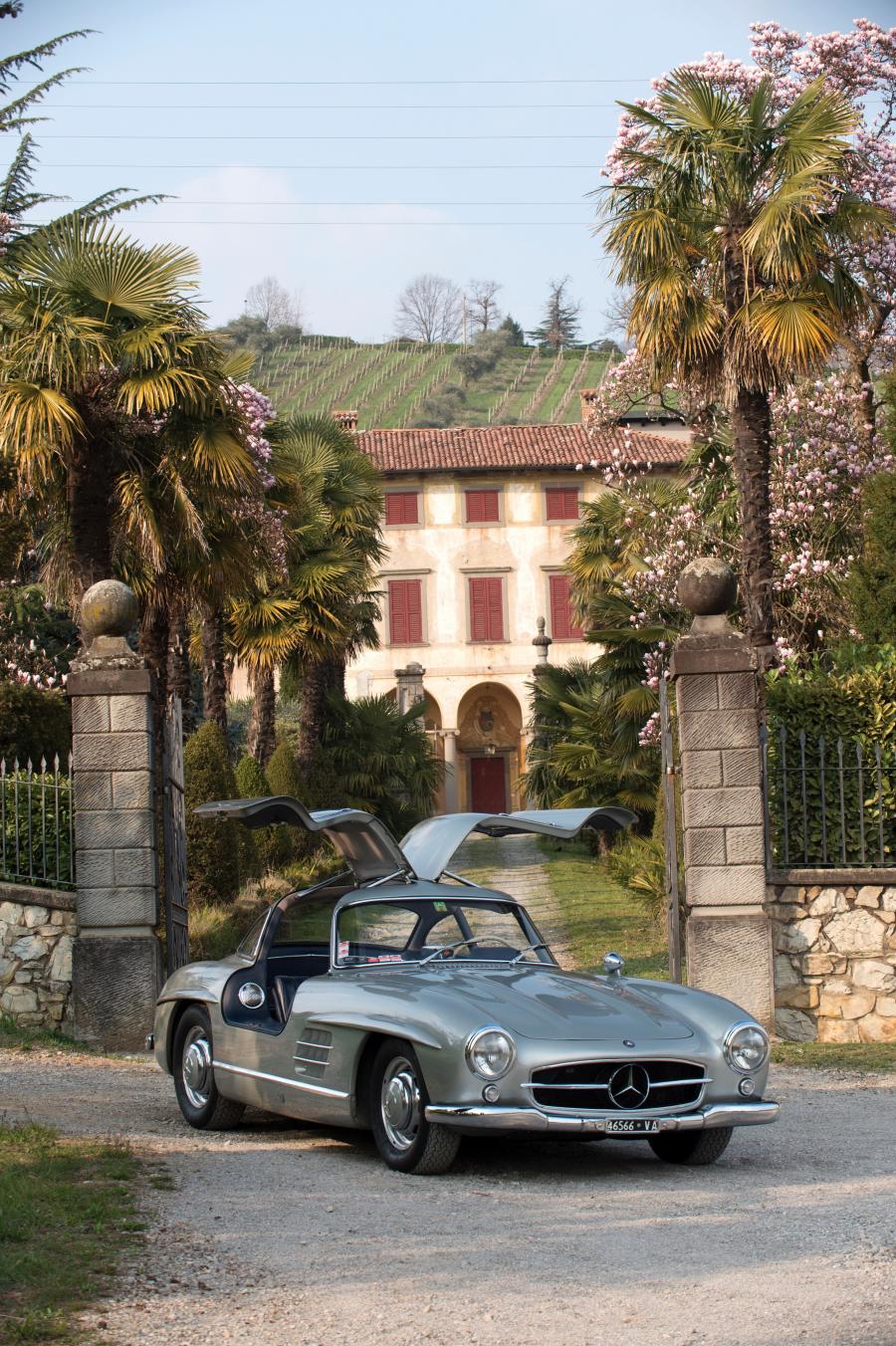  Mercedes-Benz 300 SL 1955 года  (фото 224 из 233)